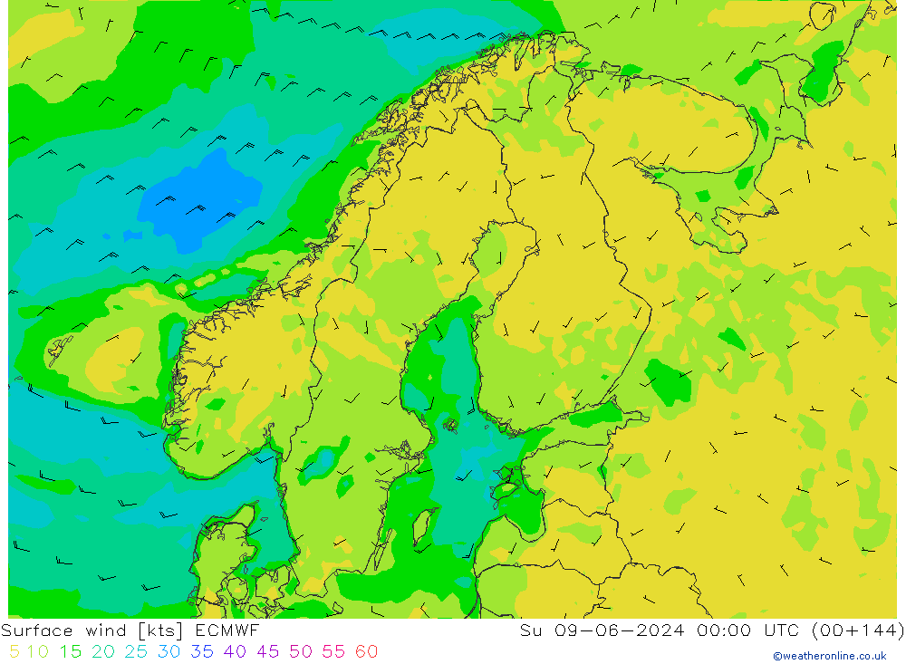 Vento 10 m ECMWF Dom 09.06.2024 00 UTC