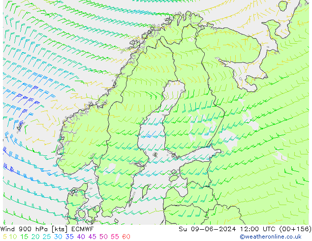 Viento 900 hPa ECMWF dom 09.06.2024 12 UTC