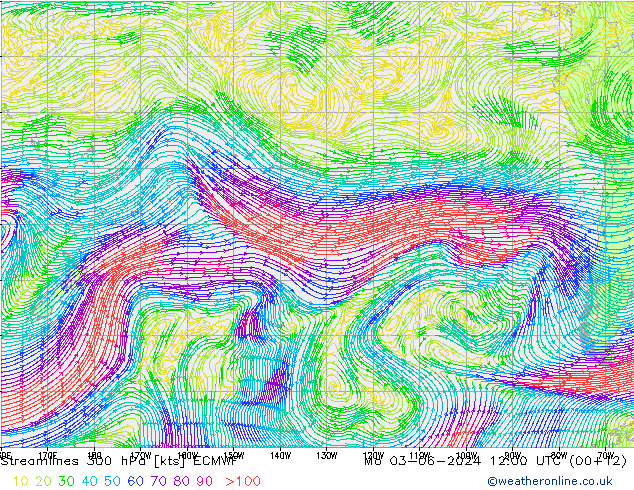 Rüzgar 300 hPa ECMWF Pzt 03.06.2024 12 UTC