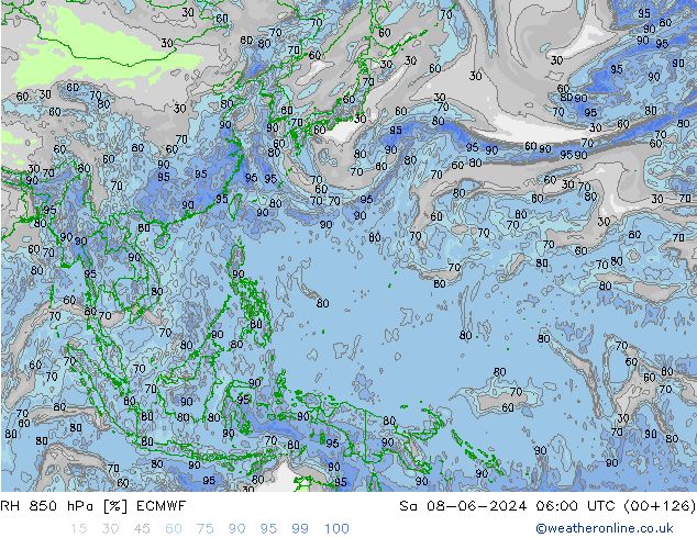 RH 850 гПа ECMWF сб 08.06.2024 06 UTC