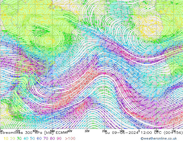 Linea di flusso 300 hPa ECMWF dom 09.06.2024 12 UTC