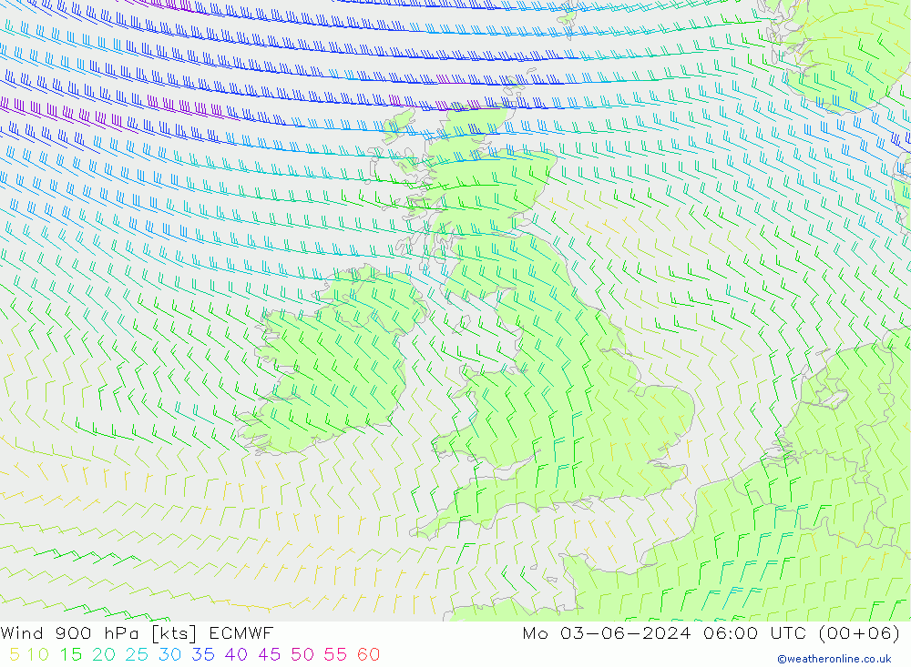 ветер 900 гПа ECMWF пн 03.06.2024 06 UTC