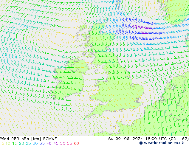 Viento 950 hPa ECMWF dom 09.06.2024 18 UTC