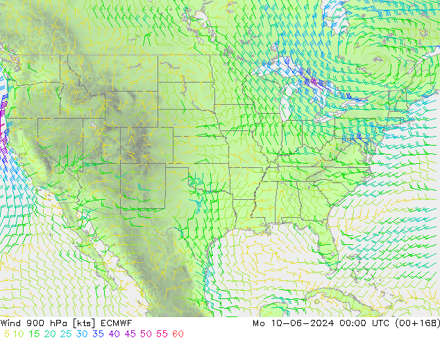 Vento 900 hPa ECMWF Seg 10.06.2024 00 UTC