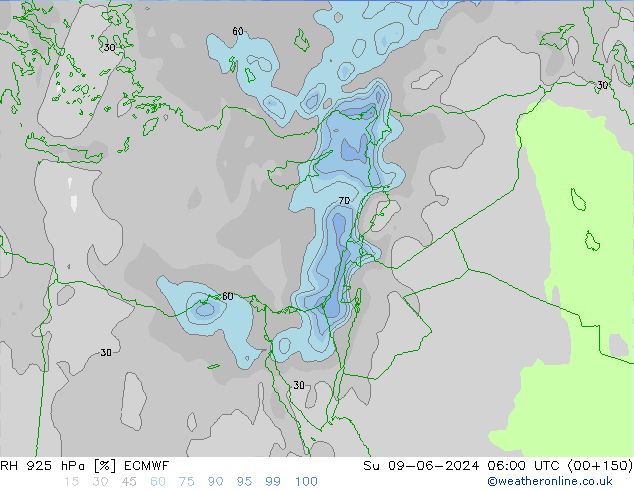 RH 925 гПа ECMWF Вс 09.06.2024 06 UTC