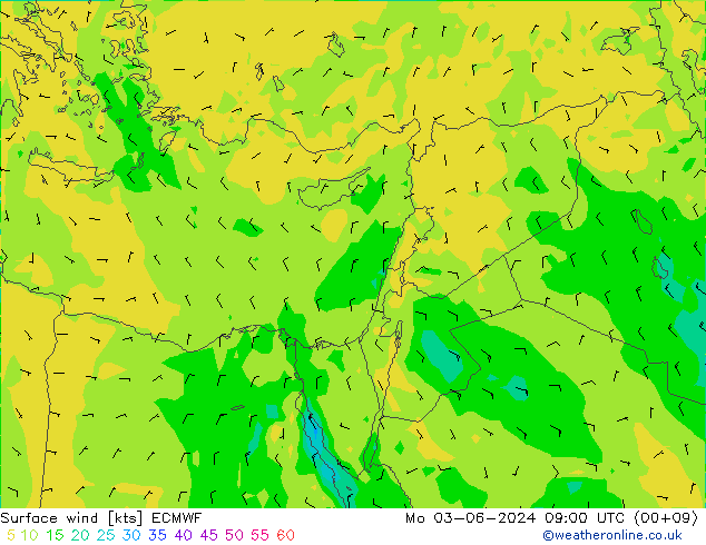 Bodenwind ECMWF Mo 03.06.2024 09 UTC