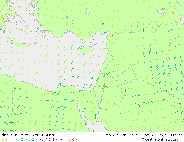 Wind 900 hPa ECMWF Mo 03.06.2024 03 UTC