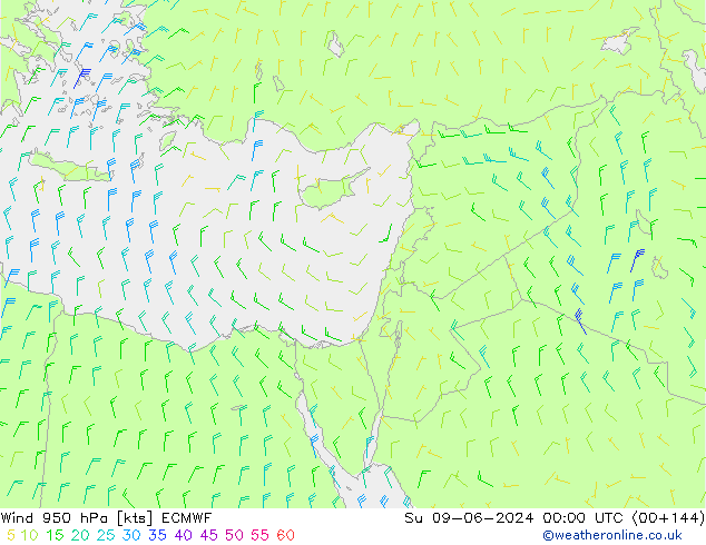 Vento 950 hPa ECMWF Dom 09.06.2024 00 UTC