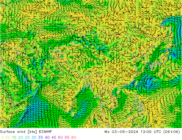 Surface wind ECMWF Mo 03.06.2024 12 UTC