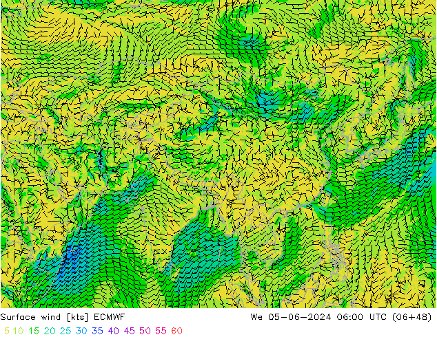 Surface wind ECMWF We 05.06.2024 06 UTC