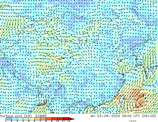 Rüzgar 10 m (bft) ECMWF Pzt 03.06.2024 06 UTC