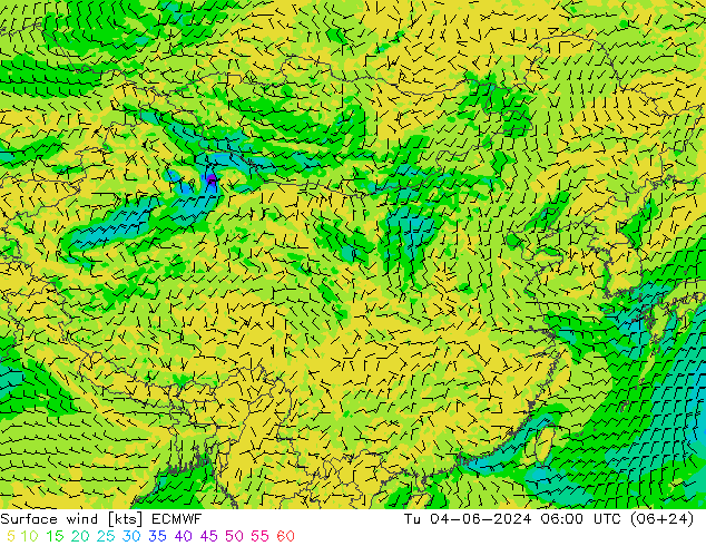 Surface wind ECMWF Tu 04.06.2024 06 UTC