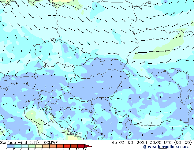 Wind 10 m (bft) ECMWF ma 03.06.2024 06 UTC