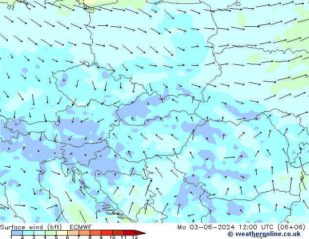 Wind 10 m (bft) ECMWF ma 03.06.2024 12 UTC