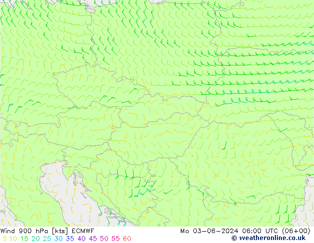  Mo 03.06.2024 06 UTC