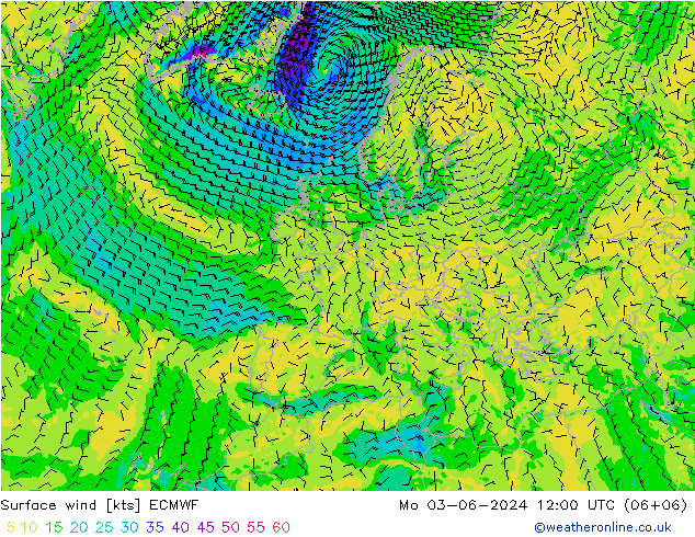 Vento 10 m ECMWF lun 03.06.2024 12 UTC