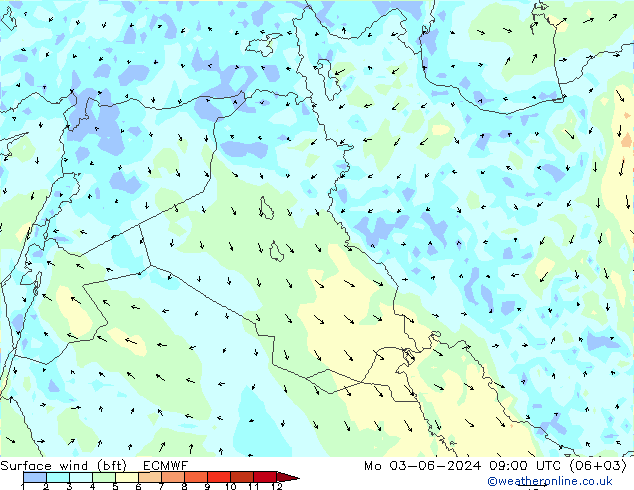 Wind 10 m (bft) ECMWF ma 03.06.2024 09 UTC