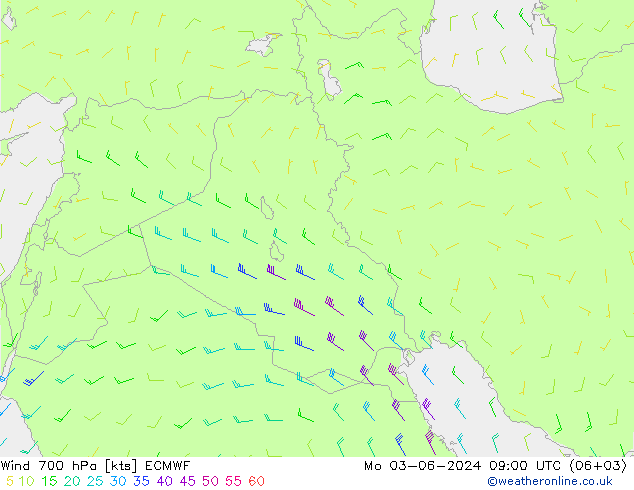  pon. 03.06.2024 09 UTC