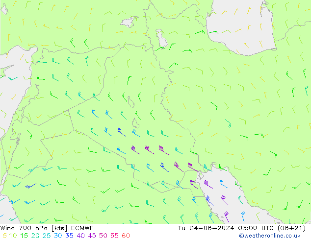  wto. 04.06.2024 03 UTC