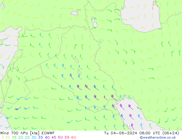  wto. 04.06.2024 06 UTC