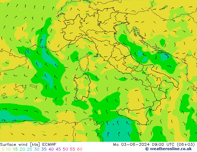 Vent 10 m ECMWF lun 03.06.2024 09 UTC