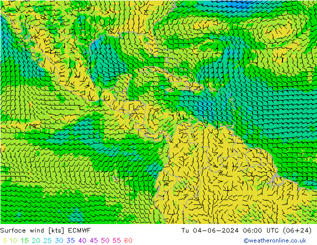  Ter 04.06.2024 06 UTC