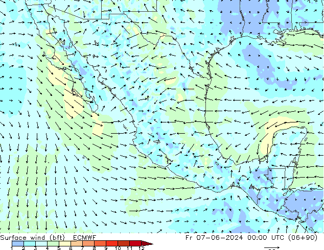 Vento 10 m (bft) ECMWF Sex 07.06.2024 00 UTC