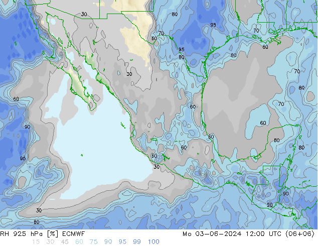 RV 925 hPa ECMWF ma 03.06.2024 12 UTC