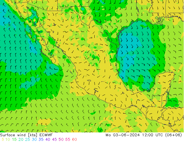 Viento 10 m ECMWF lun 03.06.2024 12 UTC