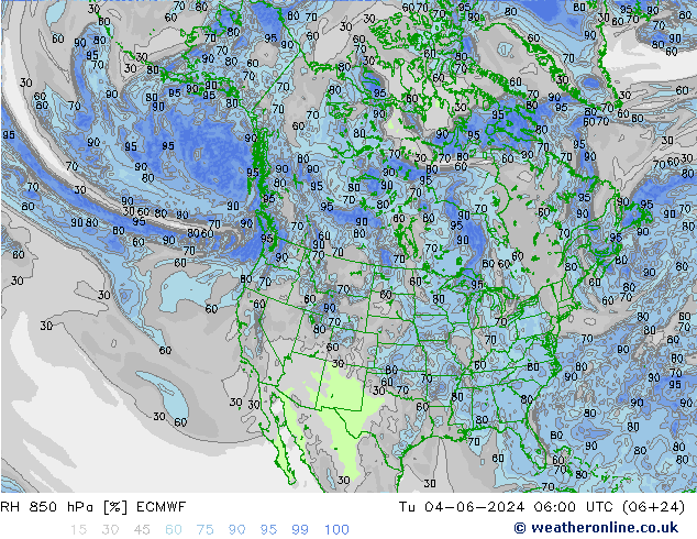 RH 850 гПа ECMWF вт 04.06.2024 06 UTC