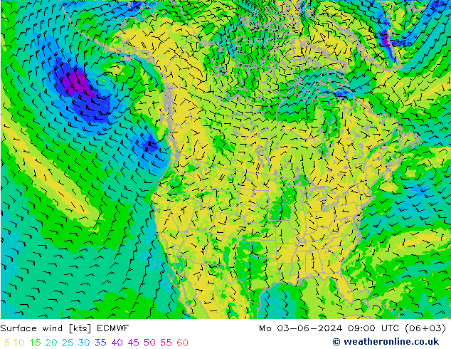 Bodenwind ECMWF Mo 03.06.2024 09 UTC