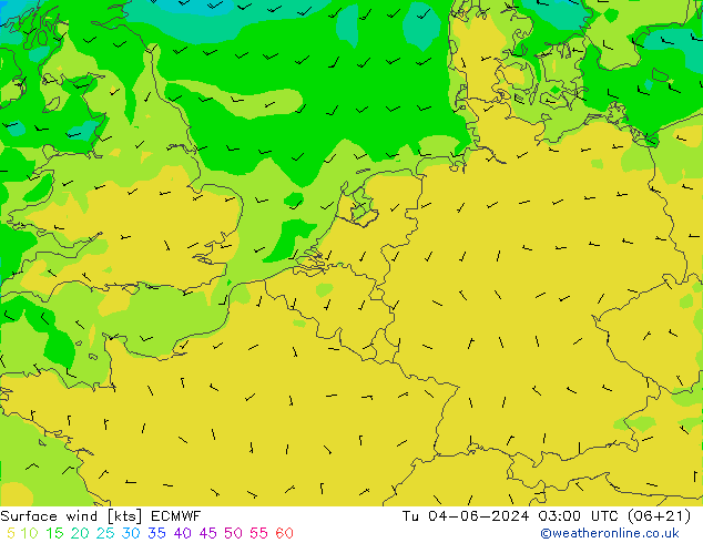 Surface wind ECMWF Út 04.06.2024 03 UTC