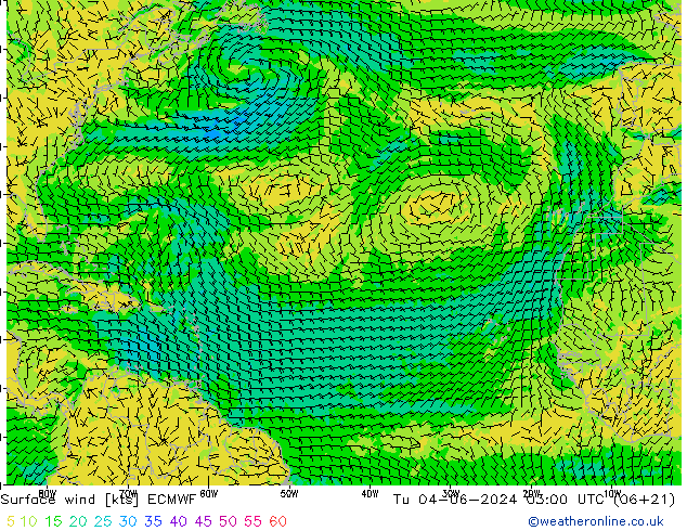 Surface wind ECMWF Út 04.06.2024 03 UTC