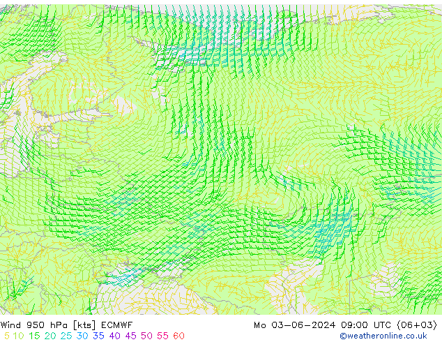  lun 03.06.2024 09 UTC