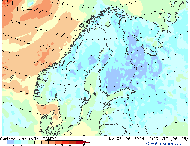 Surface wind (bft) ECMWF Po 03.06.2024 12 UTC