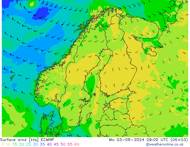 Viento 10 m ECMWF lun 03.06.2024 09 UTC