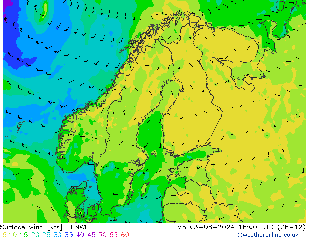 Bodenwind ECMWF Mo 03.06.2024 18 UTC