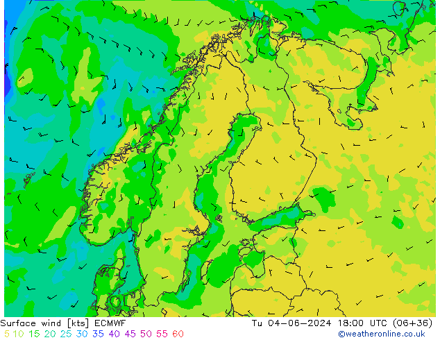 Bodenwind ECMWF Di 04.06.2024 18 UTC