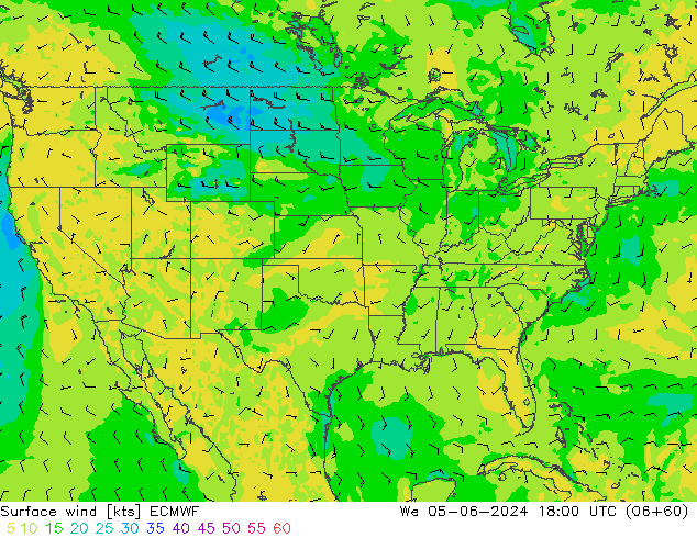 Vent 10 m ECMWF mer 05.06.2024 18 UTC