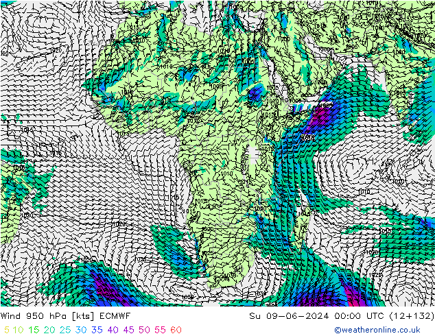 Wind 950 hPa ECMWF Su 09.06.2024 00 UTC