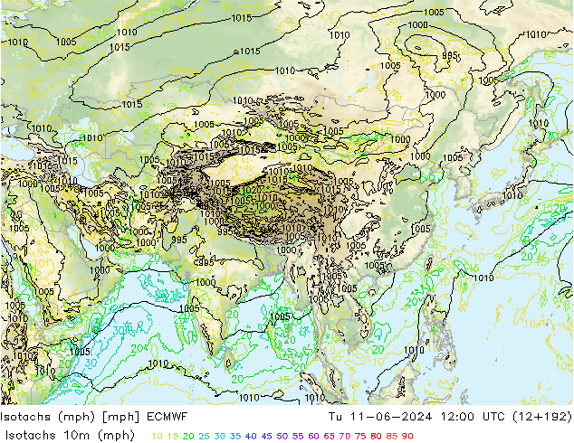 Eşrüzgar Hızları mph ECMWF Sa 11.06.2024 12 UTC