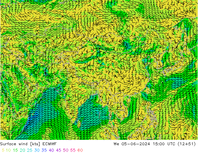 Surface wind ECMWF We 05.06.2024 15 UTC
