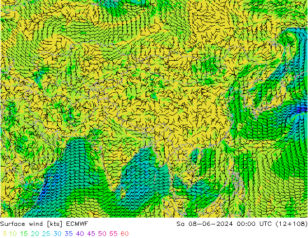 wiatr 10 m ECMWF so. 08.06.2024 00 UTC