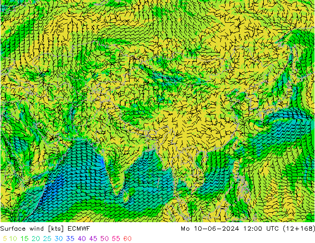 Surface wind ECMWF Mo 10.06.2024 12 UTC