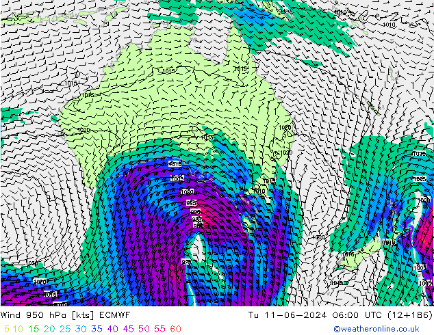 Wind 950 hPa ECMWF Tu 11.06.2024 06 UTC