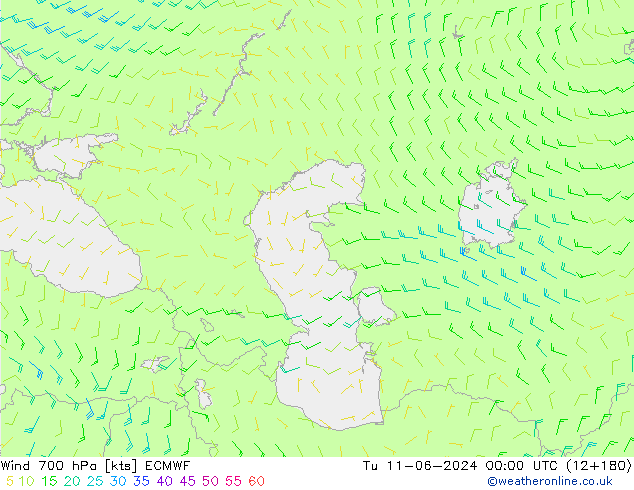  700 hPa ECMWF  11.06.2024 00 UTC