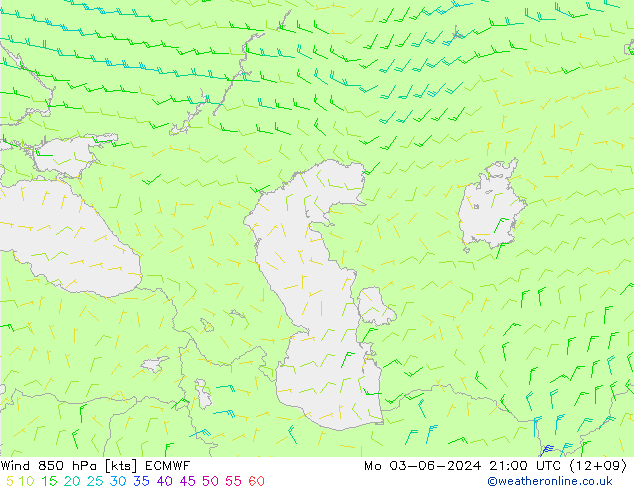 Wind 850 hPa ECMWF Mo 03.06.2024 21 UTC