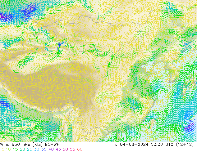 Vento 950 hPa ECMWF mar 04.06.2024 00 UTC