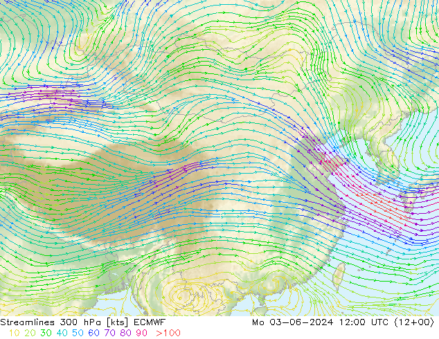 Streamlines 300 hPa ECMWF Mo 03.06.2024 12 UTC