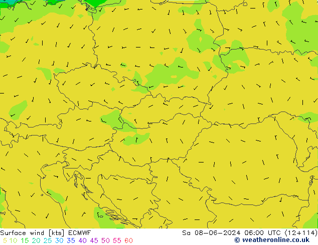 Surface wind ECMWF Sa 08.06.2024 06 UTC